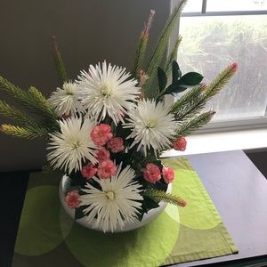 Meet your Posher, Judy